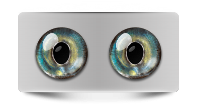 Звериные_02104