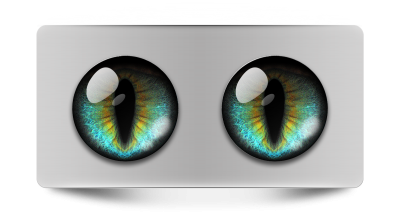 Звериные_02105