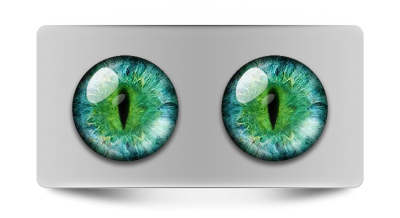 Звериные_02106