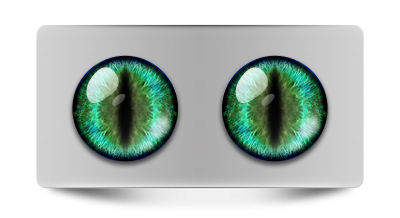 Звериные_02108