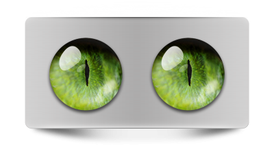 Звериные_02114