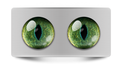 Звериные_02116