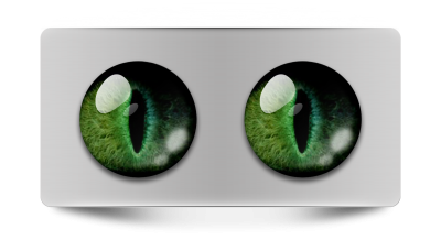 Звериные_02117