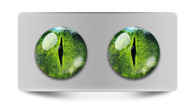 Звериные_02121