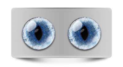 Звериные_02135