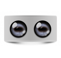 Звериные_02136