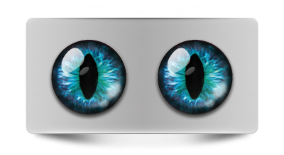 Звериные_02141