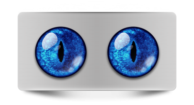 Звериные_02142