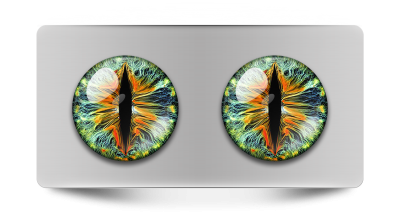 Звериные_02144