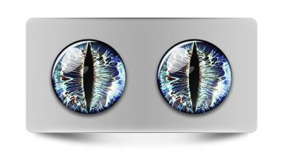 Звериные_02145