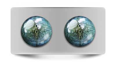 Звериные_02146