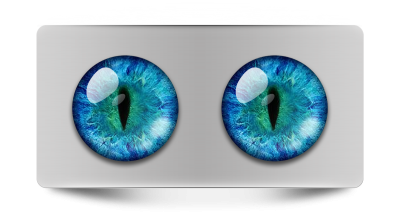 Звериные_02148