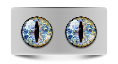 Звериные_02150