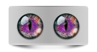 Звериные_02171