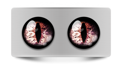 Звериные_02172