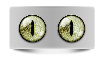 Звериные_02173