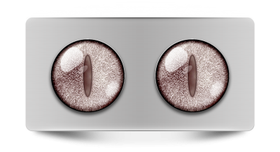 Звериные_02174