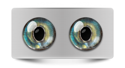 Звериные_02175