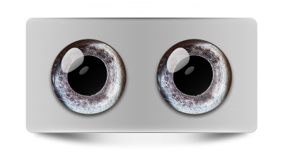 Звериные_02176