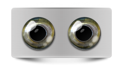 Звериные_02177