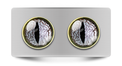 Звериные_02178