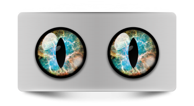 Звериные_02213