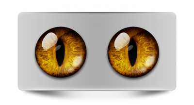 Звериные_02217