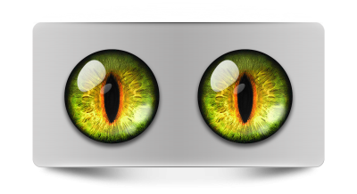 Звериные_02218