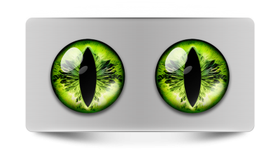 Звериные_02227