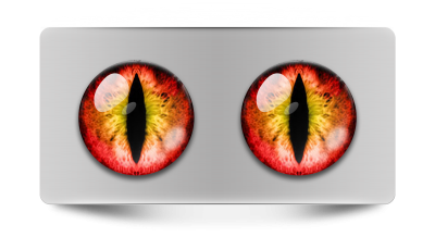 Звериные_02231