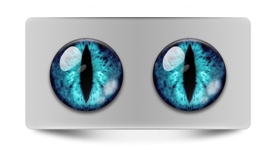 Звериные_02234