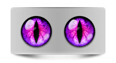 Звериные_02237