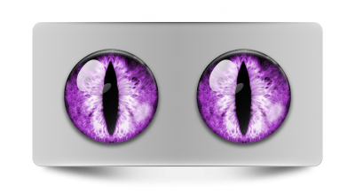 Звериные_02239