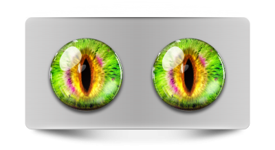 Звериные_02244