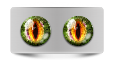 Звериные_02245