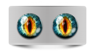 Звериные_02247