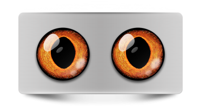 Звериные_02258