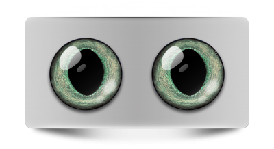 Звериные_02268