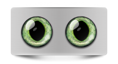 Звериные_02269