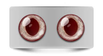 Звериные_02294