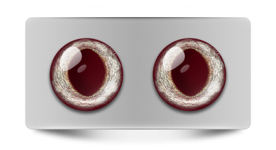 Звериные_02295