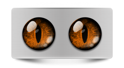 Звериные_02297