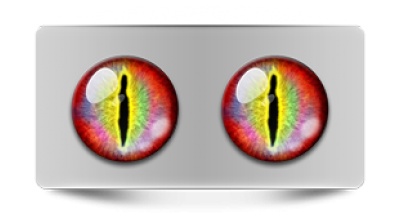 Звериные_02314