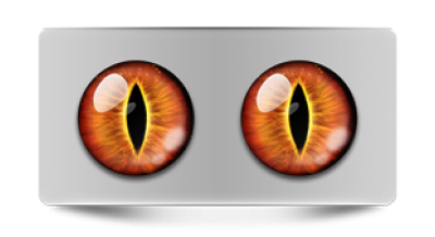 Звериные_02319