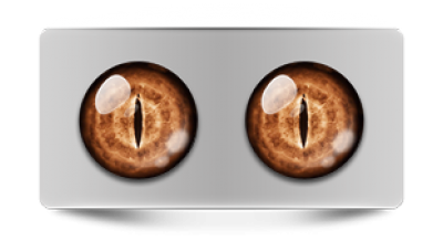 Звериные_02326