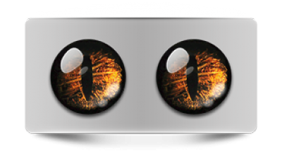 Звериные_02327