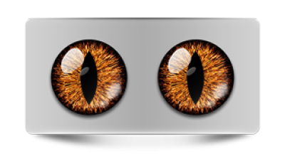 Звериные_02328