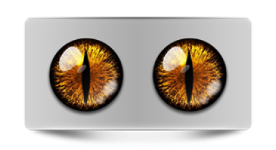 Звериные_02329