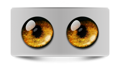 Звериные_02330