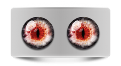 Звериные_02332